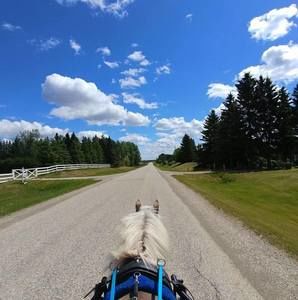 Meet your Posher, Brenda